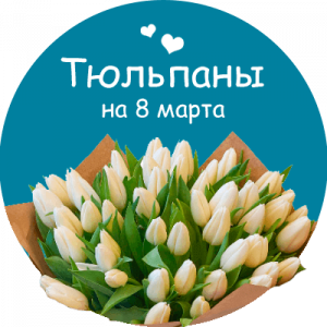 Купить тюльпаны в Звенигово